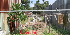 BÁN NHANH ĐẤT GIÁ CHỈ 1 TỶ - HIỆP BÌNH CHÁNH - THỦ ĐỨC