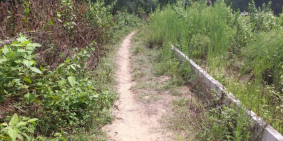 Bán đất mặt biển tại Quảng Xương, Thanh Hóa