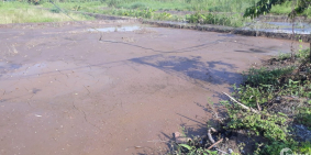 Giá rẻ bất ngờ -  3.166 m2 giá chỉ 5 triệu/m2 - Đầu tư sinh lời ngay