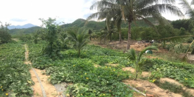 bán đất làm vườn điện nước đầy đủ giá 620 triệu