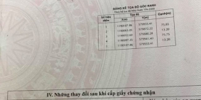 Cần Bán Đất mặt tiền Kênh 2 Đường Vườn Thơm Bình Chánh giá 2,2 tỷ/1000m2