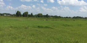 Cần bán gấp đất chia tài sản xã Trung An Củ Chi