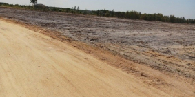 TÔI CẦN THANH LÝ LÔ ĐẤT NỀN VEN BIỂN NGAY KHU LÂM VIÊN RỪNG DẦU, LAGI BÌNH THUẬN