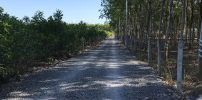 Bán đất sạch lô, sào, mẫu khu vực sân bay Long Thành giá tốt, SHR,