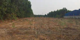 Bán 7 sào đất làm nhà vườn Long Phước, Long Thành gần Vingroup.