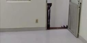 Cho thuê nhà mặt phố Phan Văn Trị, 42m x3,5 tầng, 25tr/th