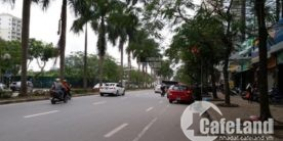 Cho thuê NMP Phùng Khoang, Q.Hà Đông. 12tr/tháng.