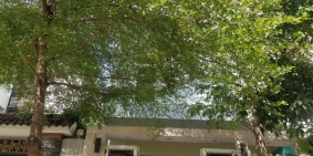 Cho thuê nhà 4 tầng có sân thượng đường Man Thiện, Hải Châu, full NT