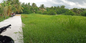 Đất 97m2,SHR,Gần Bệnh Viện Nhi Đồng,Tân Kiên,BÌnh Chánh.