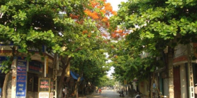 Cho thuê nhà Phố Hoàng Hoa Thám làm CHDV, nhà nghỉ, spa, ở kết hợp kinh doanh on