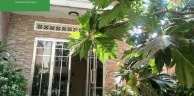 Cho Thuê Nhà Nguyên Căn Có Sân Vườn, Full Nội Thất, P. Tân Mai