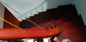 Cho thuê nhà phố  Tam Trinh, quận Hoàng Mai