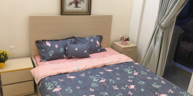 Căn hộ cho thuê TÂN BÌNH GIÁ RẺ - CAS Apartment