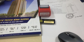 Bán căn hộ tại Bến xe Tân Đông Hiệp, đối diện Visip 1. Liên hệ 0963 256 205