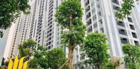 17/8 MỞ BÁN 3 TẦNG CUỐI 18-19-20 TÒA SKY A DỰ ÁN IMPERIA SKY GARDEN. ĐĂNG KÝ ĐẶT