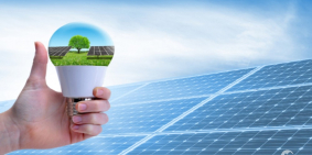 #Ai nên mua căn hộ Victoria Queen Bình Chánh, đầu tư được không?