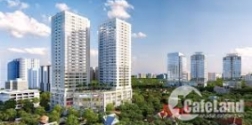 Stellar Garden “Sống chuẩn sao!”