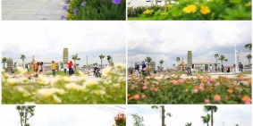 Tôi Chính Chủ Cần  bán lại căn nhà B1-xxTrong Khu Sinh Thái Cát Tường Phú Sinh