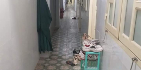 Bán gấp dãy trọ 10 phòng  170m2 giá 1 tỷ 2 nguyễn thị sóc ,hóc môn