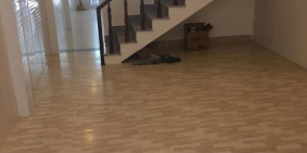 Bán Nhà Phạm Văn Bạch, Tân Bình 65m chỉ 4,5 tỷ