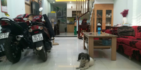 Bán nhà 1 trệt 3 lầu hẻm xe hơi đường số 11, P. Trường Thọ, Thủ Đức. Giá 4.9 tỷ