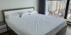 Cho thuê căn hộ FLC Twin Towers 265 Cầu Giấy 3 phòng ngủ đồ cao cấp, đồ đẹp