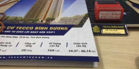 Bán hoặc Cho thuê căn hộ Tecco Tower Bình Dương