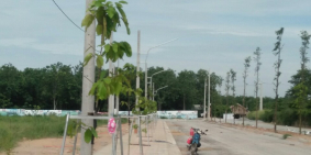 đất khu công nghiệp bàu bàng giá đầu tư