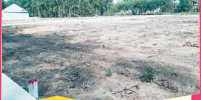 Chính chủ ra gấp lô đất gần Suối nước nóng Hà Mỹ Á, CHỈ 300 TR/nền