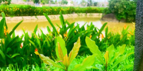 Chính chủ cần ra gấp Khu Tăng Long Angkora Park