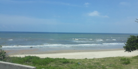 Đất nền mặt tiền đường ven biển 150m2 100%TC SHR