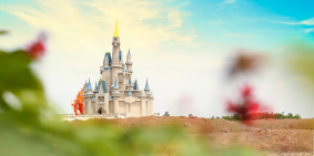 Đất Chính Chủ Giá Cực Tốt Có SHR