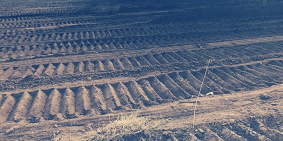 BÁN ĐẤT CHỢ ĐỨC HÒA  LONG AN -SHR