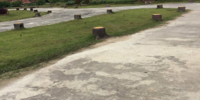 Gia đình cần bán gấp đất tại xã Tân Minh, Hàm Tân, Bình Thuận