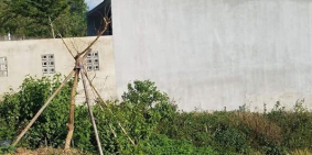 Đất kiệt Thanh Hải gần nhà máy nước Quảng Tế.