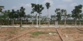 đất giá rẻ ở Huyện Bình chánh xã vĩnh Lộc B 310tr 48m