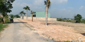 Bán gấp lô đất 221m2 Đường Nguyễn Kim Cương , Tân Thạnh Đông Củ Chi giá bất ngờ