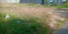 # Bán 10 lô đất đường Nguyễn Thị Thử gần công viên hồ cá KOI Nhật bản,đã có SHR,