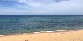 Đất nền biệt thự ven BIỂN  LaGi, Bình Thuận, Vị Trí Đẹp, SHRiêng, Giá 1TR/M2