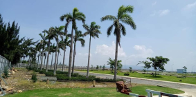 Đất nền Bà Rịa Vũng Tàu - cách biển Long Hải chỉ 7km