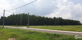 Chính chủ cần bán gấp lô đất Long Thành Đồng Nai thu hồi vốn