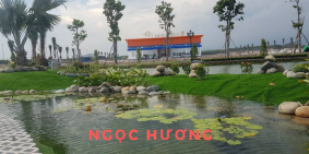 Chính chủ nhượng lô đất 100m/749tr, ngay tt hành chính Nhớn Trạch, mặt đường 25C