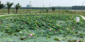 lô rẻ nhất DA Mega City 2, Nhơn Trạch, từ 750tr, tiện ở hoặc đầu tư.0931 117 660