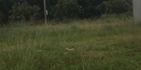 Tôi cần bán lô góc hai mặt tiền thuộc khu tái định cư Phú Mỹ.