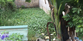 Cần bán gấp lô đất Nguyễn Thị Tú, Bình Tân, 100m2, giá 830tr