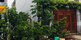 Cần bán lô đất MT đường T8, P. Tây Thạnh, Q. Tân Phú, 4m x 25m. Giá 6.6 tỷ.