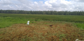 LÔ ĐẤT 5000M2 Ở VÙNG NGOẠI Ô THÀNH PHỐ-CỦ CHI,GIÁ CHỈ 1 TRIỆU/M2