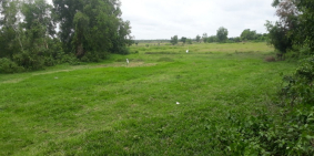 ĐẤT GIÁ RẺ! 1531M2 ĐẤT TRỒNG CÂY HÀNG NĂM, CÁCH CHỢ CỦ CHI 4KM. GIÁ 980 TRIỆU.