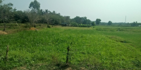 BÁN LÔ ĐẤT 501M2 CÁCH THỊ TRẤN CỦ CHI 4 KM,GIÁ 1,5 TRIỆU.ĐẶC BIỆT ĐƯỢC TRẢ CHẬM.