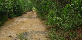 Gần 3400m2 đất xã Tân Hiệp, Long Thành đường 7m ôtô quay đầu, giá chỉ 1 triệu/m2